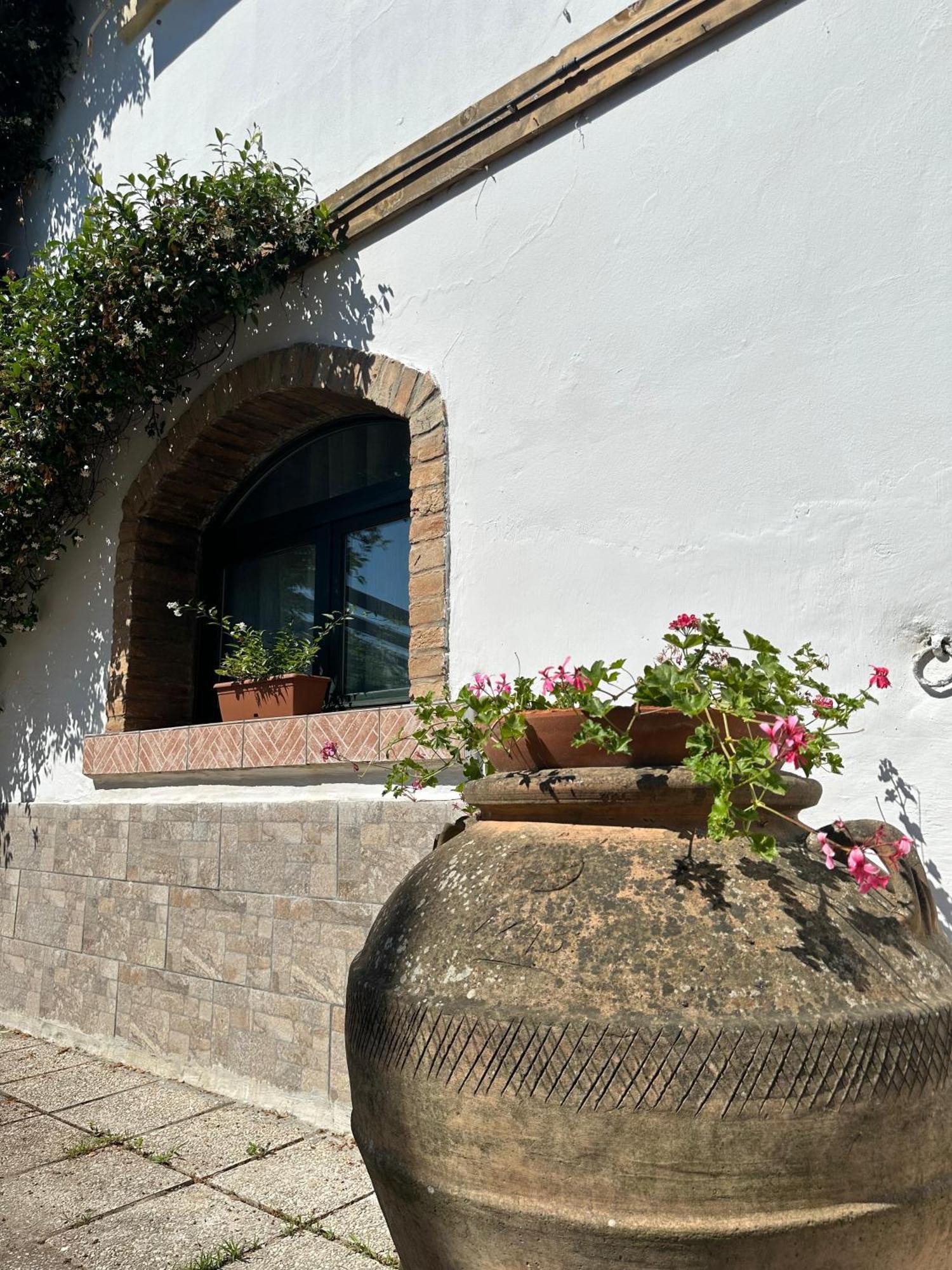 San Savino  Ca'Silvia B&B 외부 사진